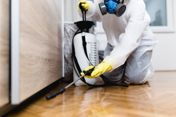 Best Affordable Pest Control Services  in Bellevue, ID