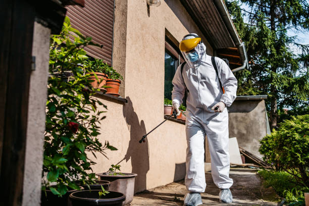 Pest Control for Restaurants in Bellevue, ID