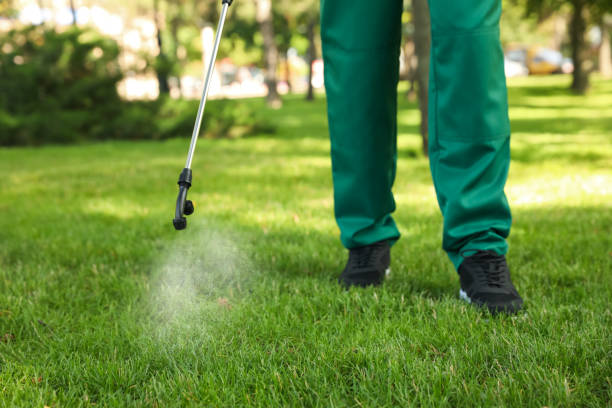 Best Termite Control Services  in Bellevue, ID