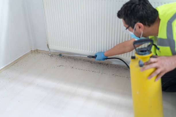 Professional Pest Control in Bellevue, ID